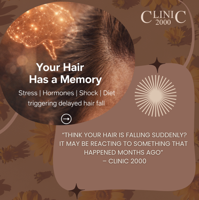 Your Hair Has a Memory And Most People Trigger It Without Realising